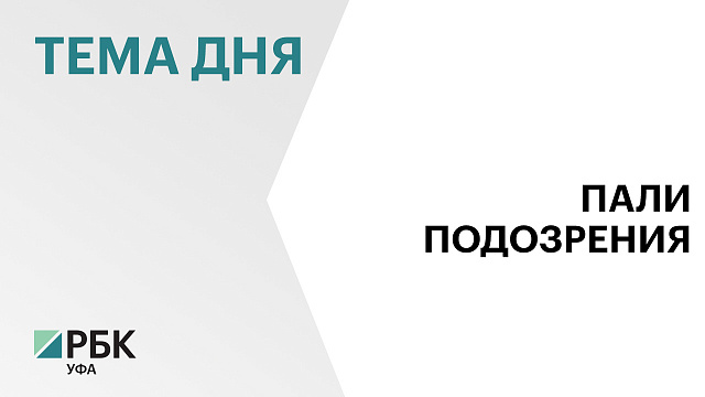 Народного артиста Башкортостана Вильдана Яруллина заключили под стражу до 4 июля