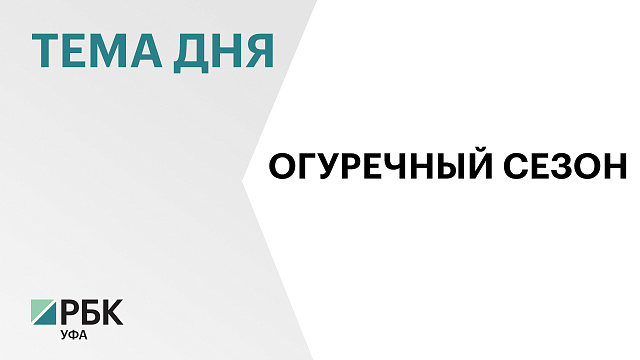 В Башкортостане снизились цены на огурцы - прогнозируется дальнейший спад