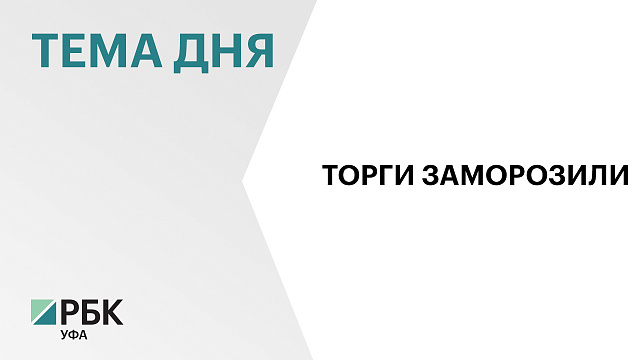 ФАС снова заблокировала торги на инфраструктуру в Зауфимье за ₽8 млрд