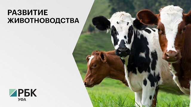 В Федоровском районе возведут животноводческий комплекс на 11 тысяч коров за ₽868 млн