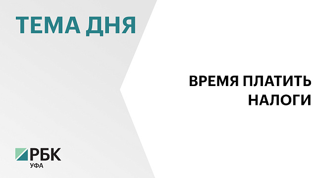 Жители Башкортостана должны заплатить более ₽8 млрд налогов до 1 декабря 2025г.