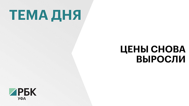 «Башнефть-Розница» в 12-й раз с начала года подняла цены