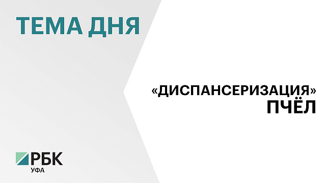 В 26 районах РБ мобильная ветеринарная лаборатория проведёт диагностирование болезней пчёл