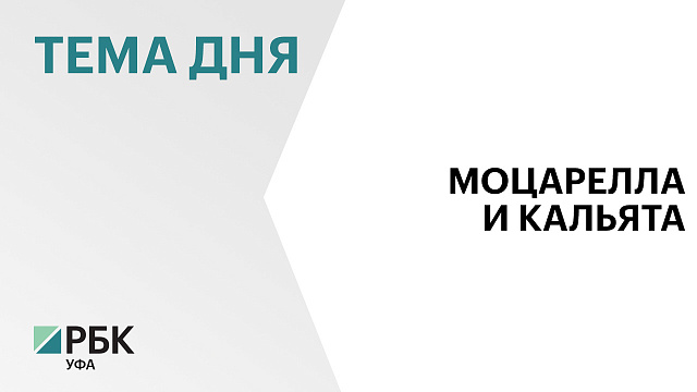 Радий Хабиров без торгов выделил пять участков под производство сыров