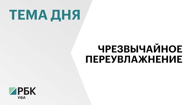 Из-за переувлажнения почв в Башкортостане погибли сельхозкультуры на площади порядка 200 тыс. га