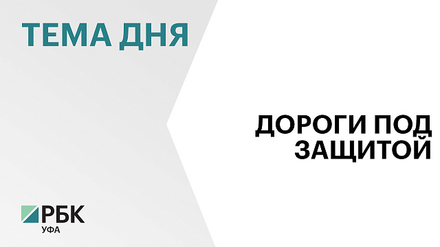 В Башкортостане усилят весогабаритный контроль и борьбу с нелегальными перевозчиками