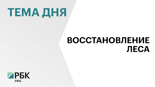 В Башкортостане лесовосстановительные работы провели на площади 5,5 тыс. га