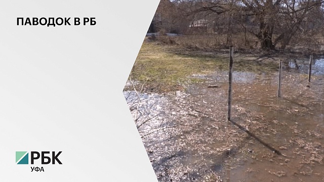 За прошедшие сутки уровень воды в реке Дёма поднялся на 5 см
