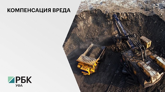 Росприроднадзор подал иск на ₽24 млн к добывающей полезные ископаемые компании РБ