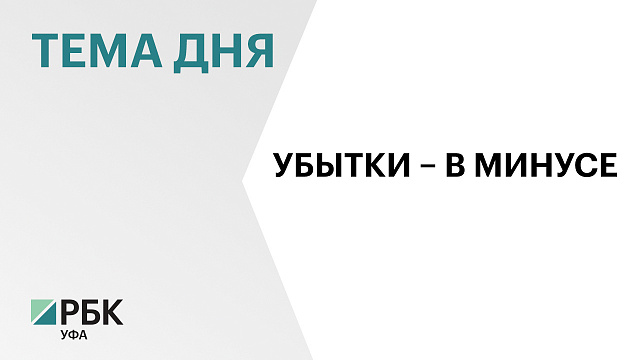 Убытки крупного и среднего бизнеса Башкортостана за год сократились вдвое