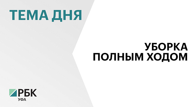 2,3 млн тонн зерна собрали в Башкортостане 