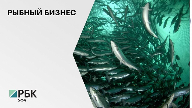 В Башкортостане построят рыбоводческий комплекс за ₽1,2 млрд 
