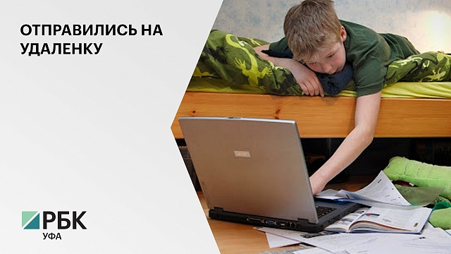 12 районов Башкортостана перевели школьников на дистанционный формат обучения