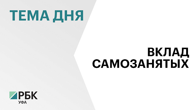 В 2024 г. самозанятые перечислили в консолидированный бюджет Башкортостана ₽843,9 млн