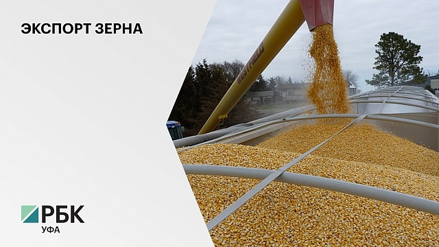 Аграрии РБ с начала 2021 г. экспортировали зерно в 19 стран мира