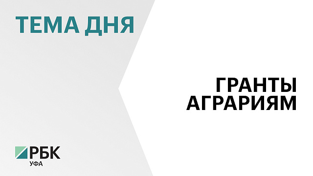 Гранты на ₽156 млн получат 16 фермерских хозяйств и 2 сельхозкооператива