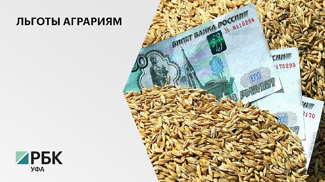 154,3 млн руб. в РБ направят на предоставление грантов по направлению "Агростартап"