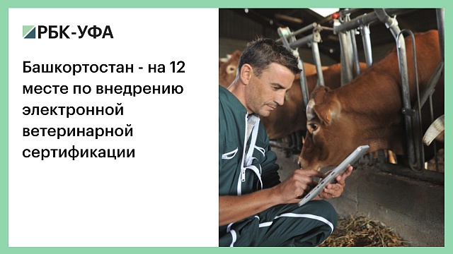 Башкортостан - на 12 месте по внедрению электронной ветеринарной сертификации