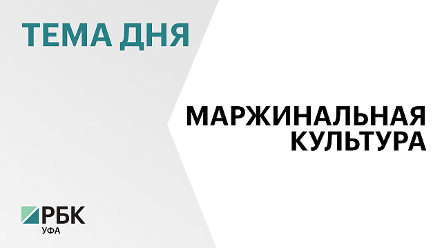 В 4 раза увеличили площадь посевов рапса за последние 5 лет в Башкортостане