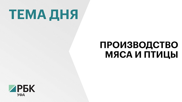 Производство мяса и птицы в Башкортостане за последние семь лет выросло более чем в два раза