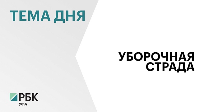 В Башкортостане убрали 73% площадей с зерновыми и зернобобовыми культурами