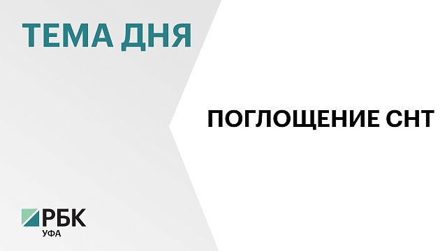 Эксперты: включение СНТ или ДНТ в состав муниципалитета имеет плюсы и минусы