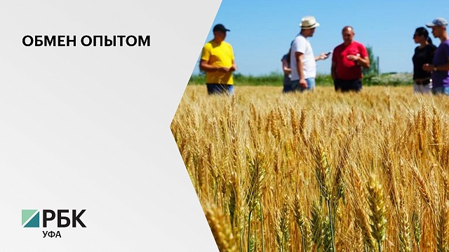 Башкирские аграрии приняли участие в создании системы развития сельского хозяйства Оренбургской обл.