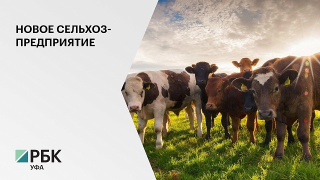 РБ появится новое сельхозпредприятие на 700 голов крупного рогатого скота