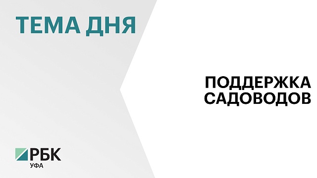 На поддержку СНТ из бюджета Башкортостана за 3 года выделили ₽576 млн