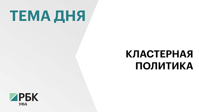 Башкортостан готов стать пилотной площадкой для новых мер поддержки промышленных кластеров
