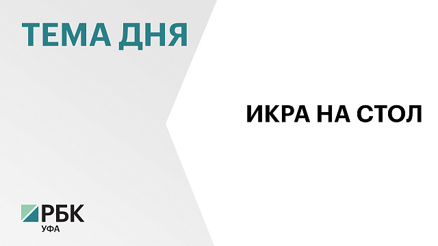 ₽48 млн направят на строительство форелевой фермы в Башкортостане