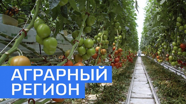По итогам 2016 года Башкортостан вошел в ТОП-10 аграрных регионов России 