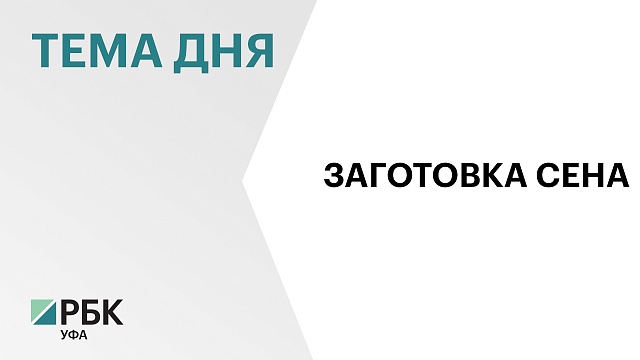 Радий Хабиров поручил помочь сельчанам, которые из-за дождей не смогли заготовить сено