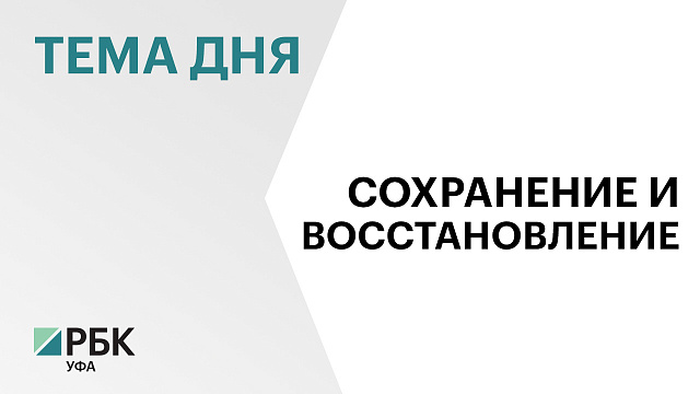В Башкортостане в 2025 г. площадь лесных пожаров сократилась в 44 раза