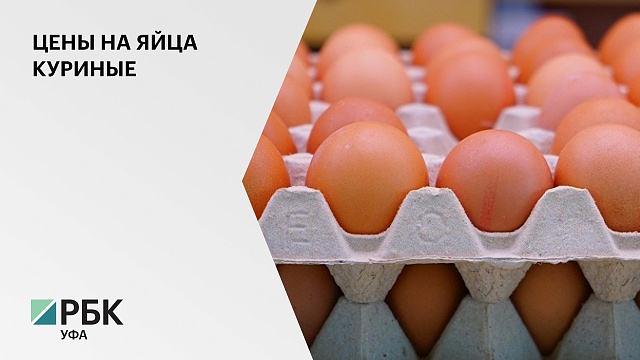 В национальном союзе птицеводов сообщили о снижении оптовых цен на яйца