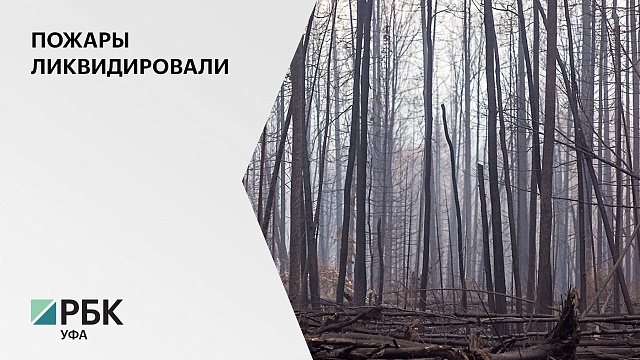 В Башкортостане ликвидировали последний лесной пожар на площади 620 га в Баймакском районе