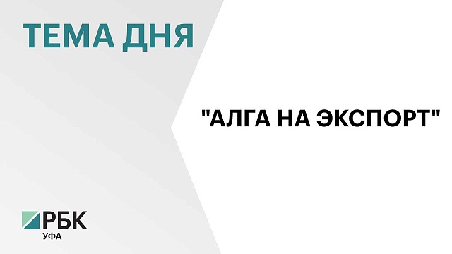 Власти Башкортостана сформировали программу "Алга на экспорт" до 2030 г.