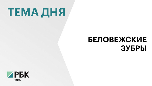 Башкортостан получит ₽10,2 млн на девять зубров из Беларуси