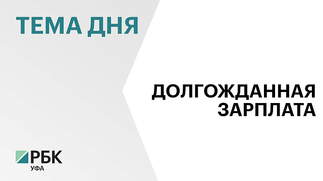 На начало 2025 г. задолженность по зарплате имеют 24 организации Башкортостана на ₽368 млн