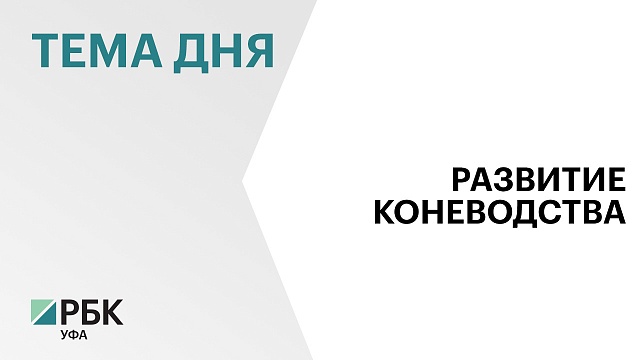 За три года в Башкортостане на развитие коневодства направили ₽200 млн господдержки