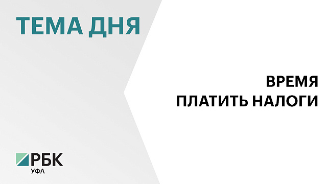 Жители Башкортостана заплатят ₽11,3 млрд налогов за 2024 г.