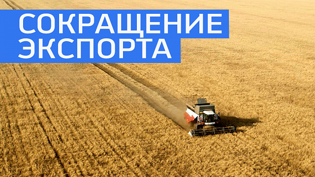 Экспорт зерна из Башкортостана в прошлом году сократился в 2 раза 