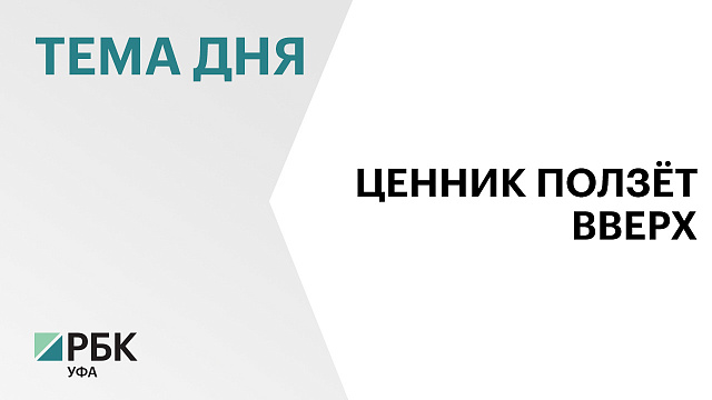 На заправках Башкортостана выросли цены на бензин