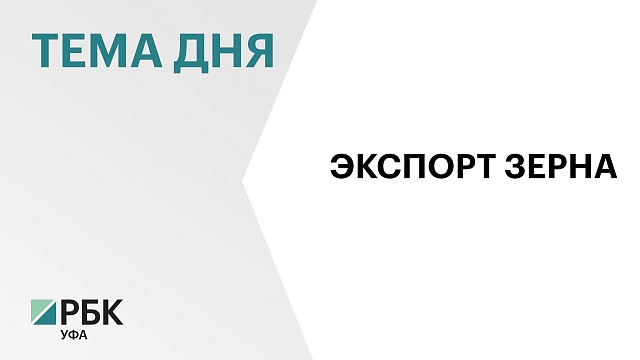 Объём экспорта зерна из Башкортостана вырос на 17%