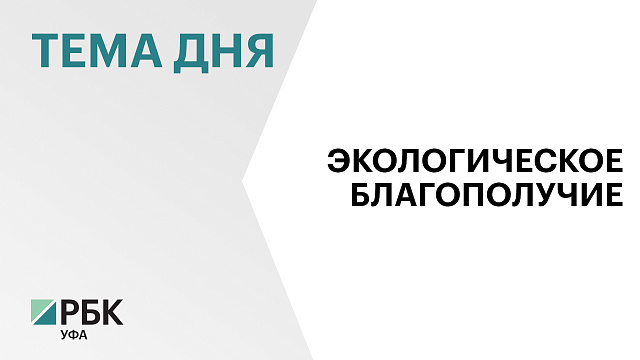 На ликвидацию свалки в Зианчуринском районе Башкортостана направят ₽280 млн