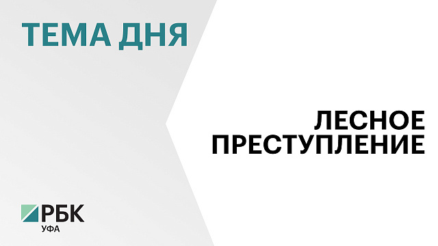 В Башкортостане возбудили уголовное дело о незаконной рубке леса с ущербом на ₽18 млн