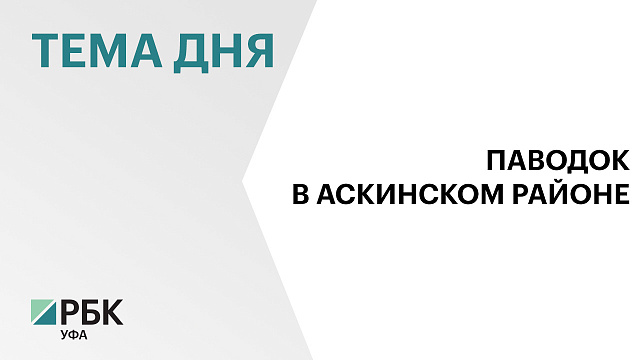 В Аскинском районе подтопило 88 придомовых территорий из-за подъёма уровня реки Сарс