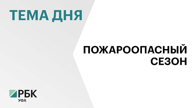 В Башкортостане в 2025 г. зафиксировали 380 пожаров на 1300 га