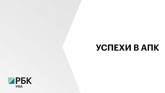 В Башкортостане за 9 месяцев 2025 г. выпустили сельхозпродукции на ₽191,6 млрд
