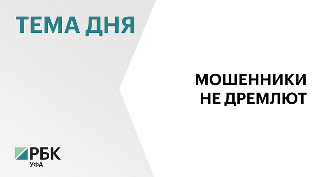 Более 11,5 тыс. преступлений в сфере кибермошенничества зарегистрировали за 5 мес. 2025 г. в РБ